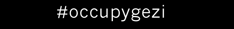 occupy2