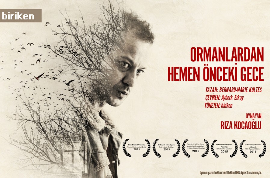 SON ormanlar yatay